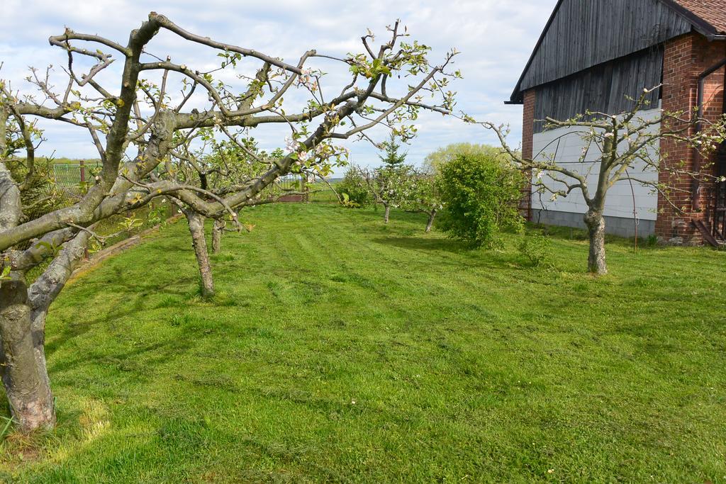 Rodinne Ubytovani - Family Accommodation Kobylice エクステリア 写真